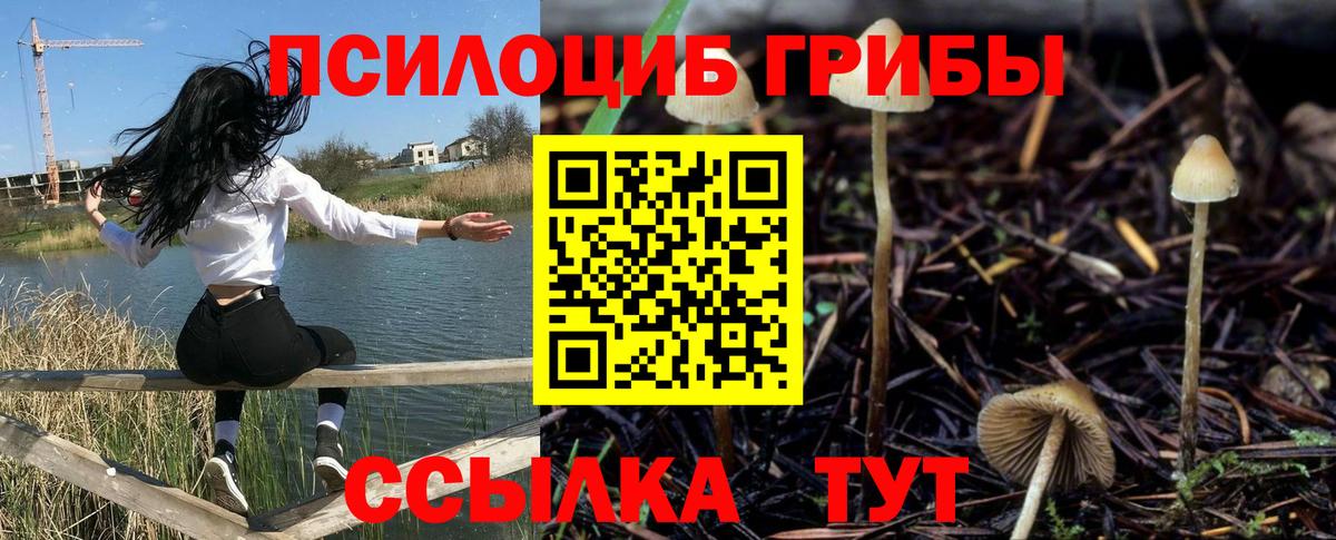 Галлюциногенные грибы Cubensis  Вход с VPN  купить наркотики цена  Псилоцибиновые грибы Magic Shrooms  Верхняя Салда 